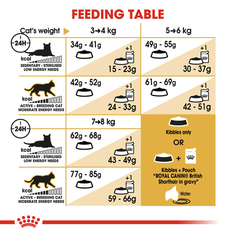 ROYAL CANIN British Shorthair Katzenfutter trocken für Britisch Kurzhaar
