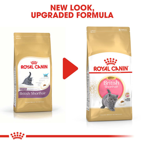 ROYAL CANIN British Shorthair Kittenfutter trocken für Kätzchen