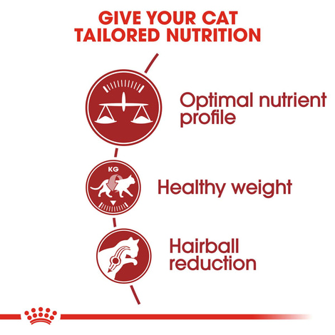 ROYAL CANIN FIT Trockenfutter für aktive Katzen