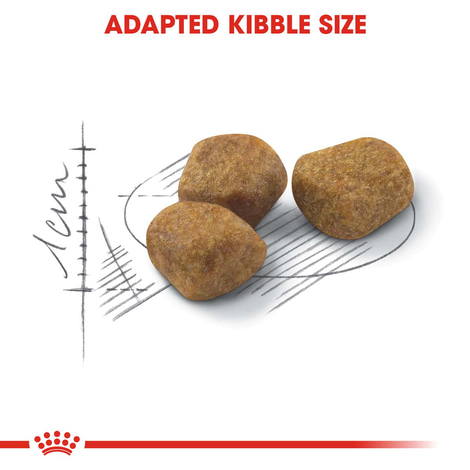 ROYAL CANIN FIT Trockenfutter für aktive Katzen