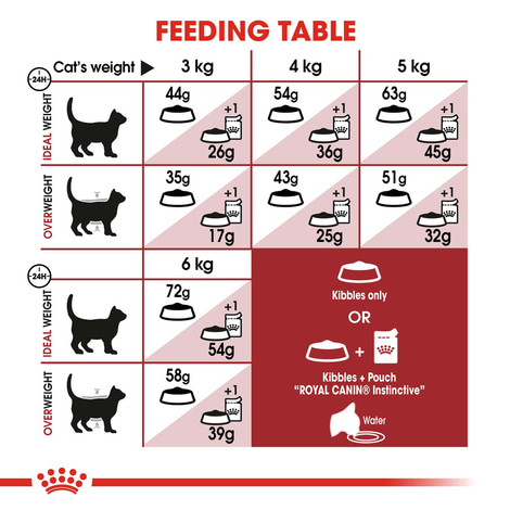 ROYAL CANIN FIT Trockenfutter für aktive Katzen