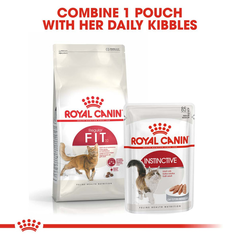 ROYAL CANIN FIT Trockenfutter für aktive Katzen