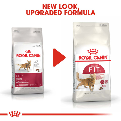 ROYAL CANIN FIT Trockenfutter für aktive Katzen