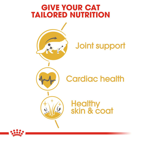 ROYAL CANIN Maine Coon Adult Katzenfutter trocken