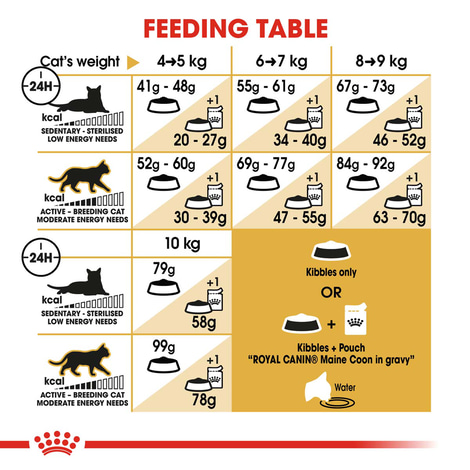 ROYAL CANIN Maine Coon Adult Katzenfutter trocken