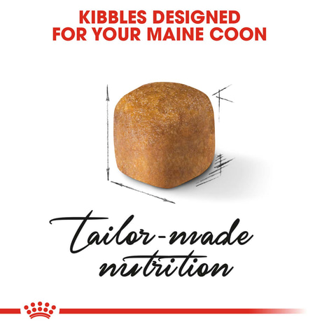 ROYAL CANIN Maine Coon Trockenfutter für Kätzchen