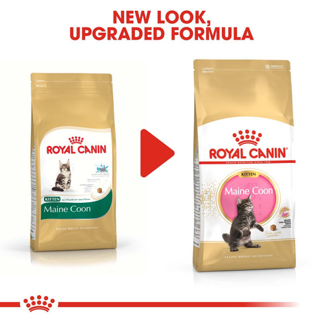 ROYAL CANIN Maine Coon Trockenfutter für Kätzchen
