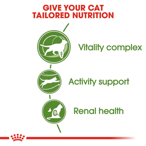 ROYAL CANIN OUTDOOR 7+ Katzenfutter trocken für ältere Freigänger