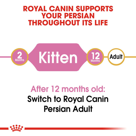 Royal Canin Katzenfutter Kitten Persian