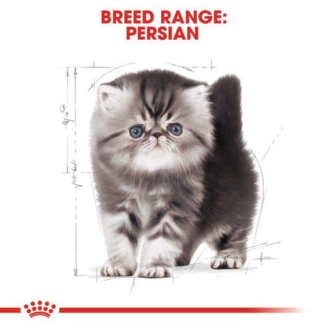 Royal Canin Katzenfutter Kitten Persian