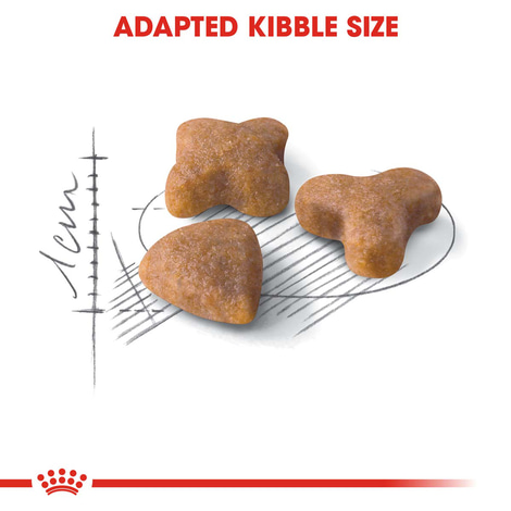 ROYAL CANIN SENSIBLE Trockenfutter für sensible Katzen