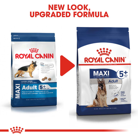 ROYAL CANIN MAXI Adult 5+ Trockenfutter für ältere große Hunde