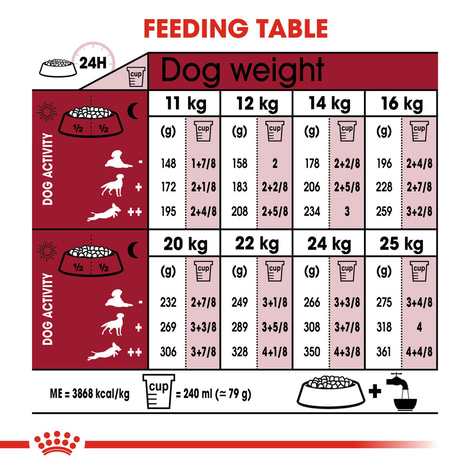 ROYAL CANIN MEDIUM Ageing 10+ Trockenfutter für ältere mittelgroße Hunde