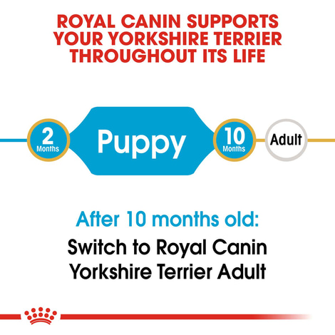 ROYAL CANIN Yorkshire Terrier Welpenfutter trocken