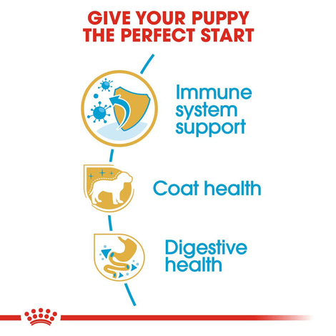 ROYAL CANIN Yorkshire Terrier Welpenfutter trocken
