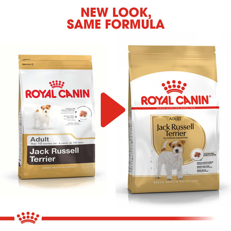 ROYAL CANIN Jack Russell Terrier Adult Hundefutter trocken