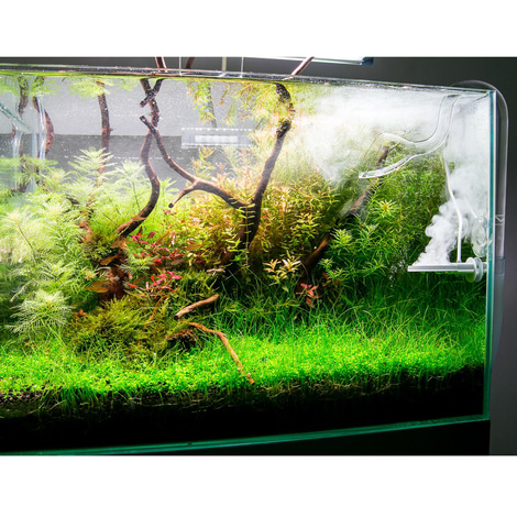 TWINSTAR 2 Aquarium-Sterilisator Yotta Plus