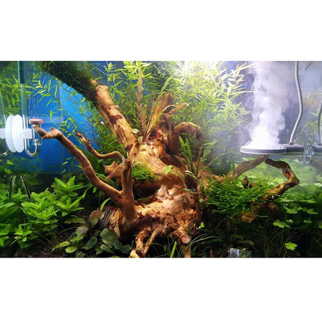 TWINSTAR 2 Aquarium-Sterilisator Yotta Plus