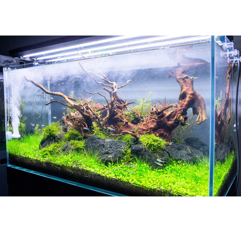 TWINSTAR 2 Aquarium-Sterilisator Yotta Plus