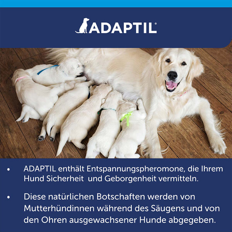 Adaptil Halsband für Welpen und kleine Hunde