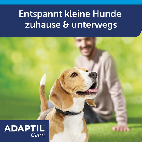 Adaptil Halsband für Welpen und kleine Hunde