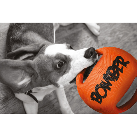 Bomber Hundespielzeug orange