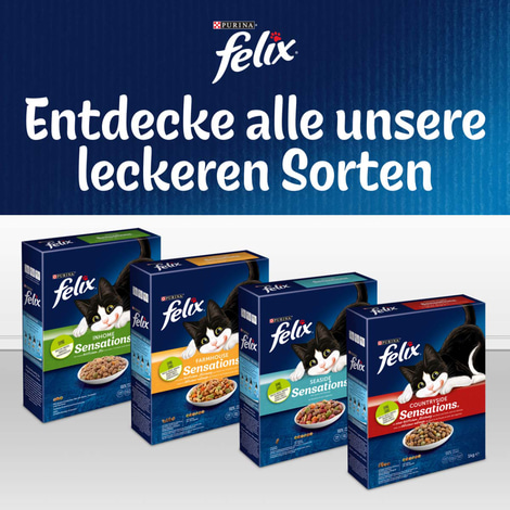 FELIX Countryside Sensations Rind & Huhn