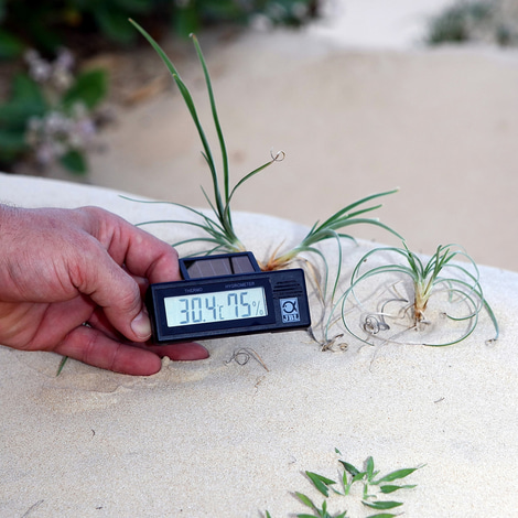 JBL TerraSand Terrarien-Sand - 7,5 kg - weiss