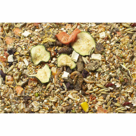 JR Farm Rennmausfutter Adult 500g