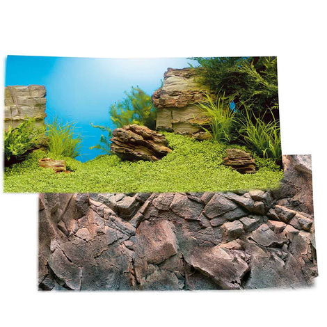 Juwel Rückwand Poster für Aquarium