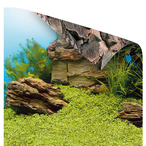 Juwel Rückwand Poster für Aquarium