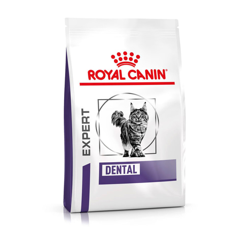 ROYAL CANIN® Expert DENTAL Trockenfutter für Katzen