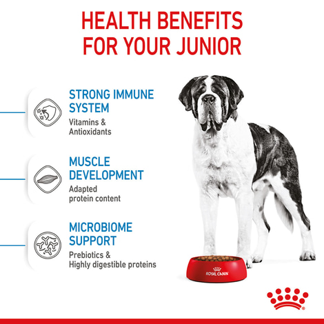 ROYAL CANIN GIANT Junior Welpenfutter trocken für sehr große Hunde