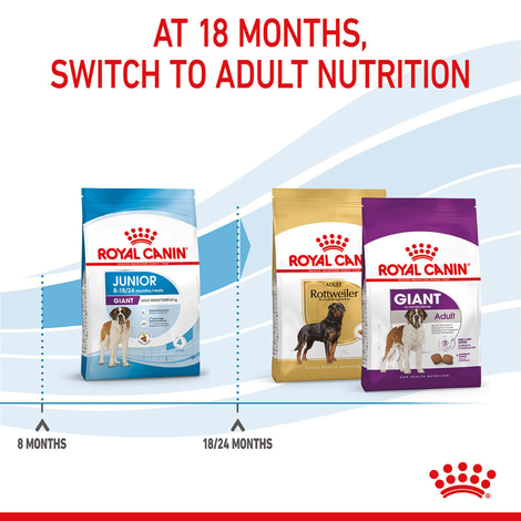 ROYAL CANIN GIANT Junior Welpenfutter trocken für sehr große Hunde