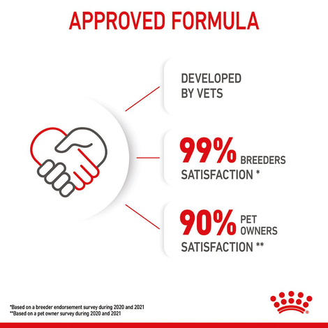 ROYAL CANIN KITTEN Trockenfutter für Kätzchen