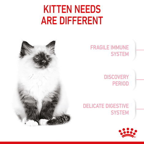 ROYAL CANIN KITTEN Trockenfutter für Kätzchen