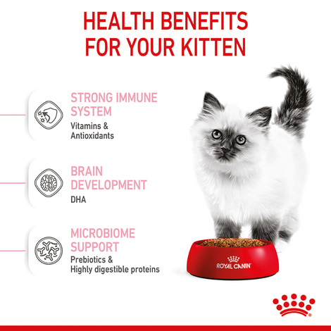 ROYAL CANIN KITTEN Trockenfutter für Kätzchen