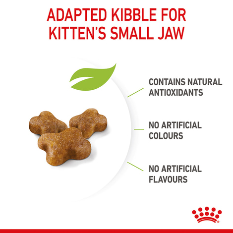 ROYAL CANIN KITTEN Trockenfutter für Kätzchen