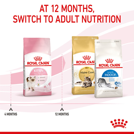 ROYAL CANIN KITTEN Trockenfutter für Kätzchen