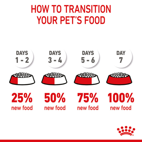 ROYAL CANIN MOTHER & BABYCAT Katzenfutter für tragende Katzen und Kitten