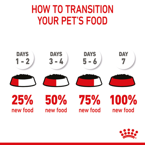 ROYAL CANIN MOTHER & BABYCAT Mousse für tragende Katzen und Kitten