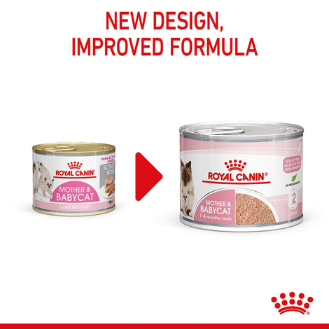ROYAL CANIN MOTHER & BABYCAT Mousse für tragende Katzen und Kitten