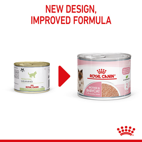 ROYAL CANIN MOTHER & BABYCAT Mousse für tragende Katzen und Kitten
