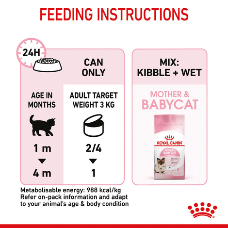 ROYAL CANIN MOTHER & BABYCAT Mousse für tragende Katzen und Kitten