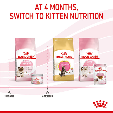 ROYAL CANIN MOTHER & BABYCAT Mousse für tragende Katzen und Kitten