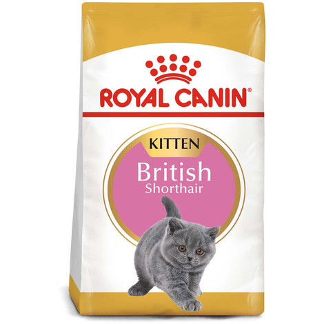 ROYAL CANIN British Shorthair Kittenfutter trocken für Kätzchen