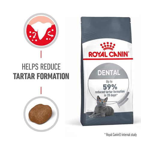 Royal Canin FCN Dental Care
