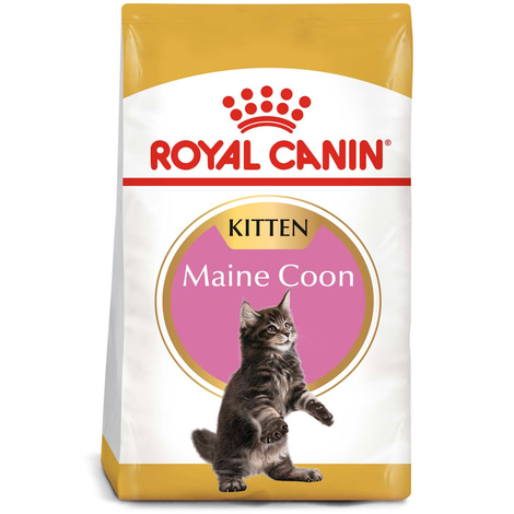 ROYAL CANIN Maine Coon Trockenfutter für Kätzchen