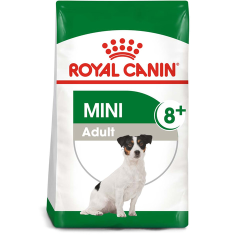 ROYAL CANIN MINI Adult 8+ Trockenfutter für ältere kleine Hunde