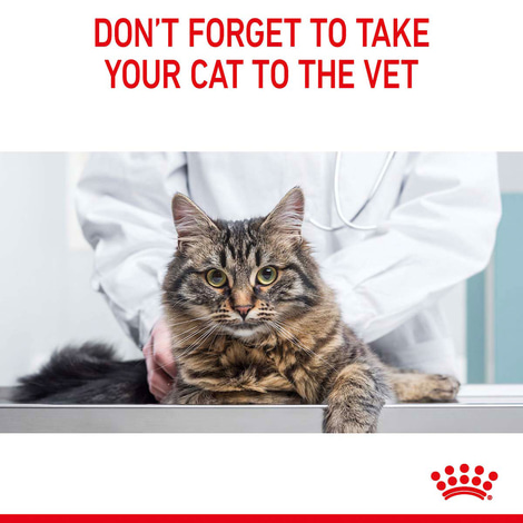 Royal Canin FCN Hair & Skin Care